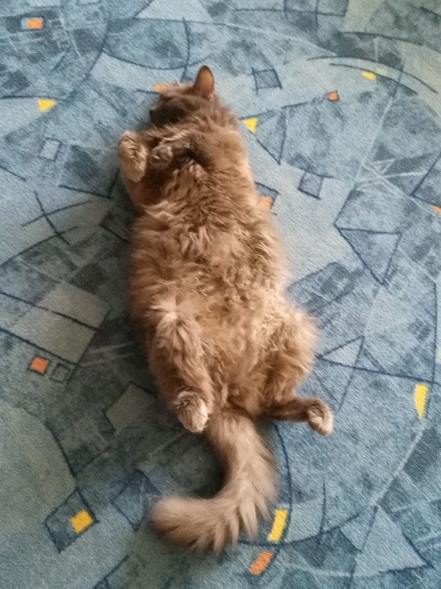 Тоже ВДВшник