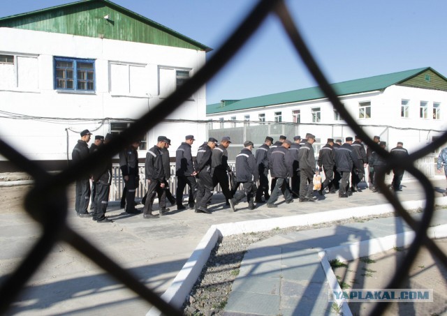 "Пипец, Большука скрутили". Эмоции местного жителя