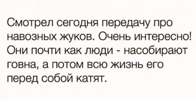 Так себе картинки 12.08.23