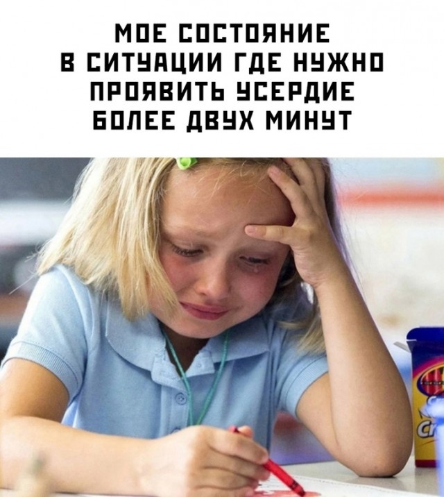 Весёлый полтишок 19.11.23