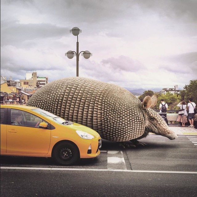 Литературный конкурс "Драма"