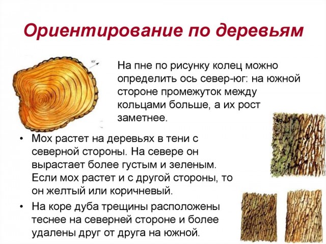 Как промахнуться по азимуту, имея карту и компас?