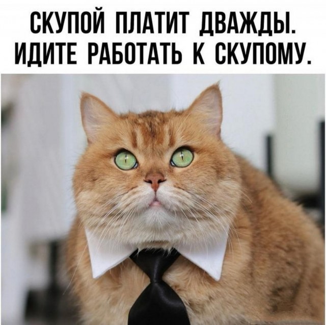 Всего понемногу. От 16.05.2024
