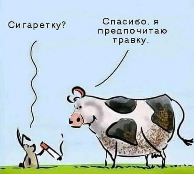 Картинки разные с надписями и без
