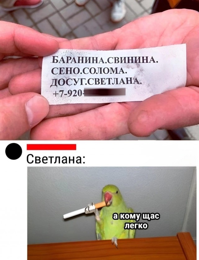 Веселые картинки к пятнице (26.07)