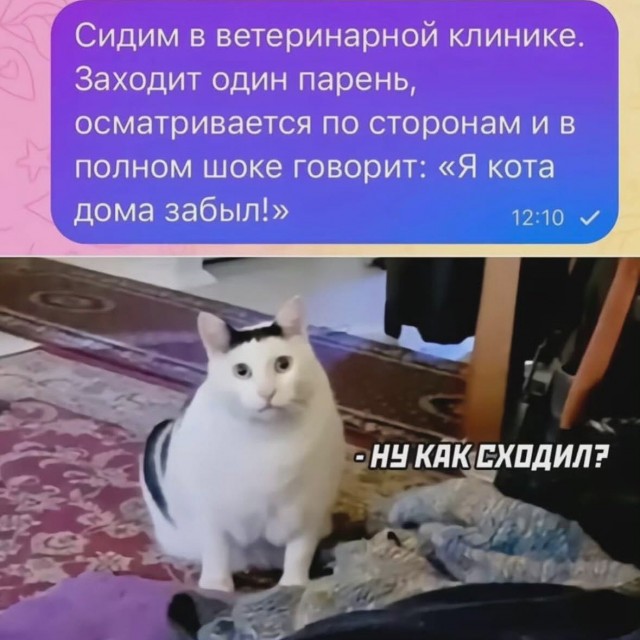 Завалялось тут случайно немного забавных картинок