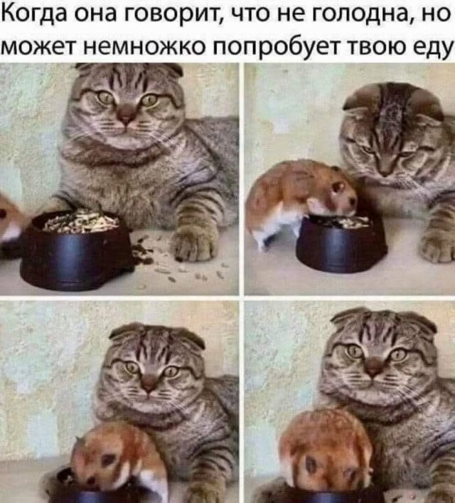 Завалялось тут случайно немного забавных картинок