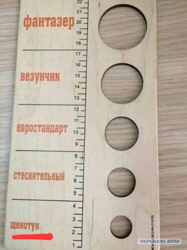 Где и как измеряют пенис?