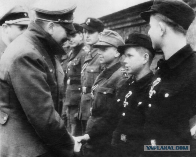 «Ты чё негров любишь?»