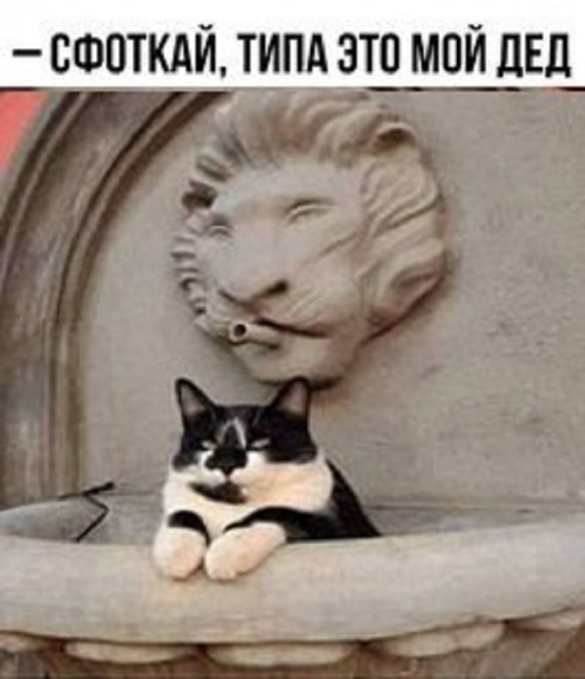 Так себе картинки 18.02.25