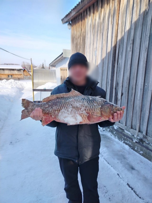 5 с поло́вой