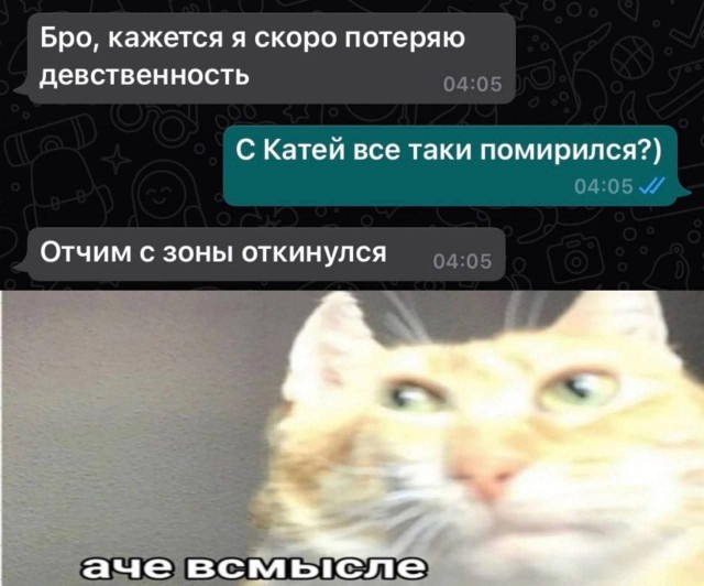 Всем доброго четверга, комратовцы.