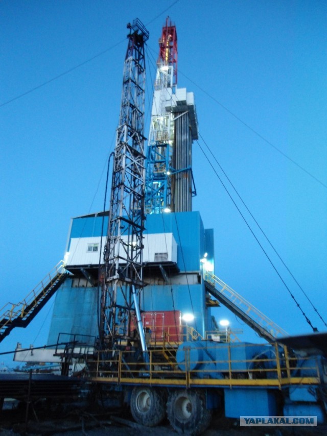 Красота! Лето на Ямале. Фото