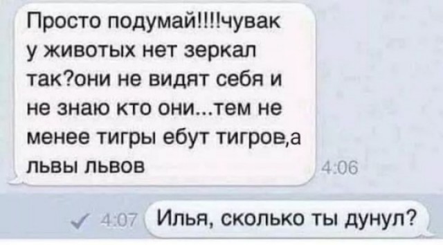 Десятка фото