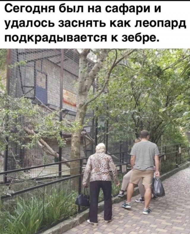 Веселые картинки в понедельник (02.06)