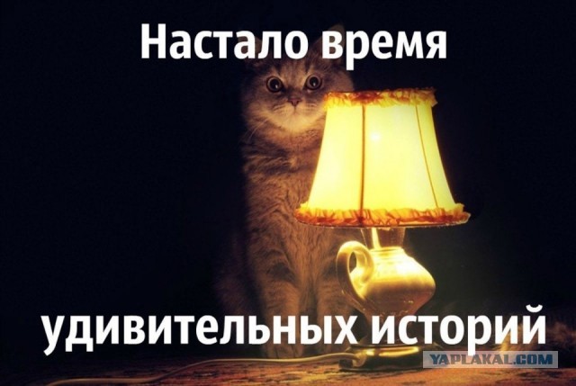 В нулевых я сильно увлекалась роком. Мне тогда было 20 лет, и у меня было много друзей с таким же увлечением