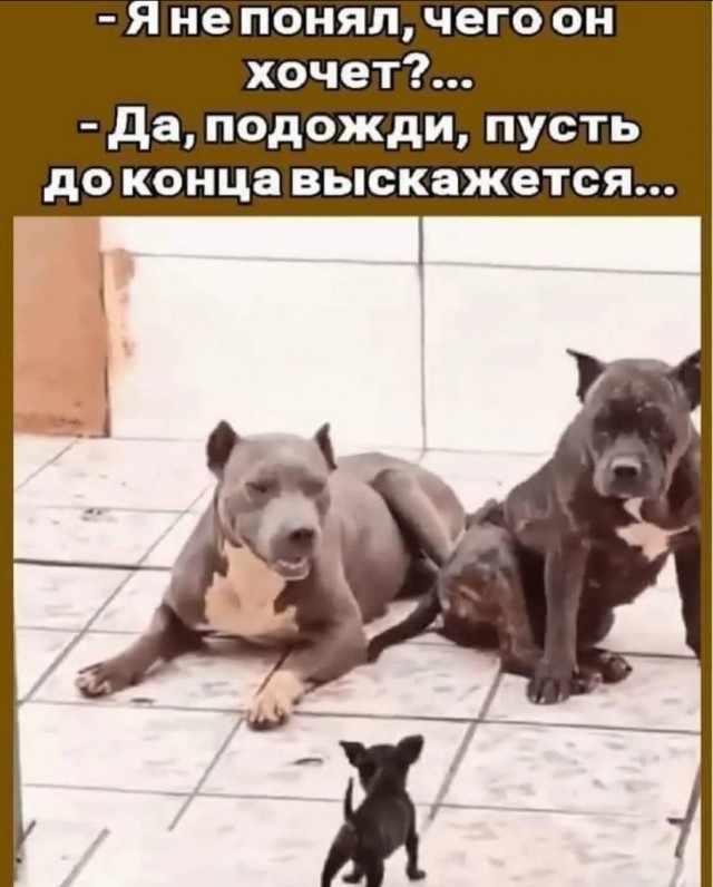 Завалялось тут случайно немного забавных картинок