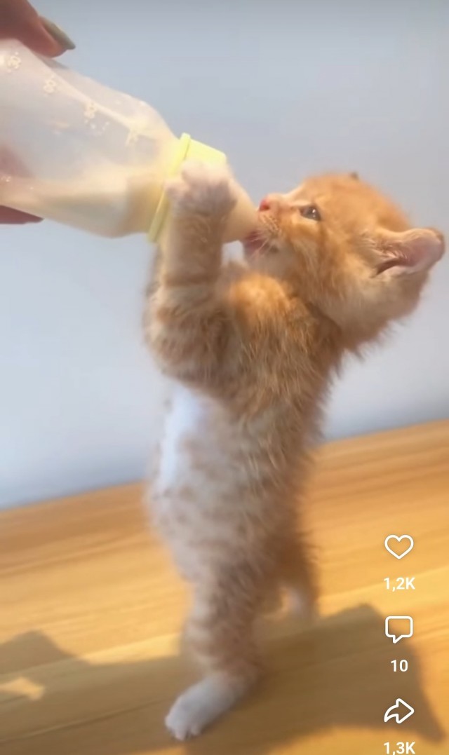 Когда нет мамы.