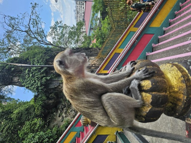 Мое веселое азиатское турне в поисках поперек 18+