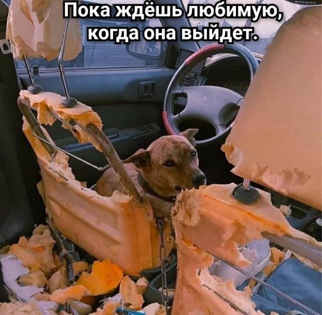 Картинки для деградации 46 (разной степени свежести)