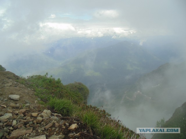 Отпуск в Сочи