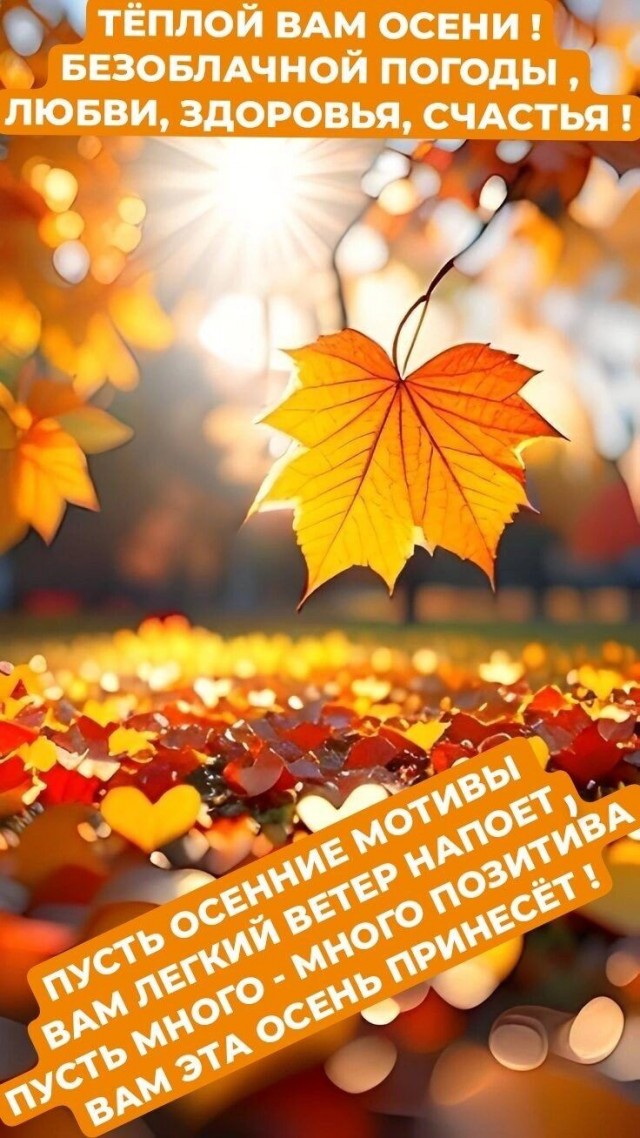 Прикольные и просто красивые картинки 23.09.2025