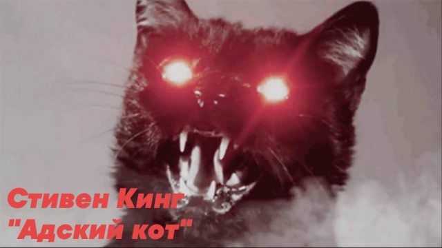 Если решите приютить рыжего кота