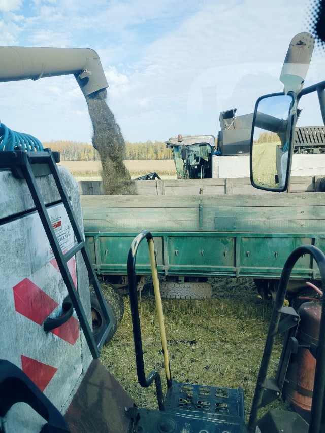 Небольшая подборка после праздника