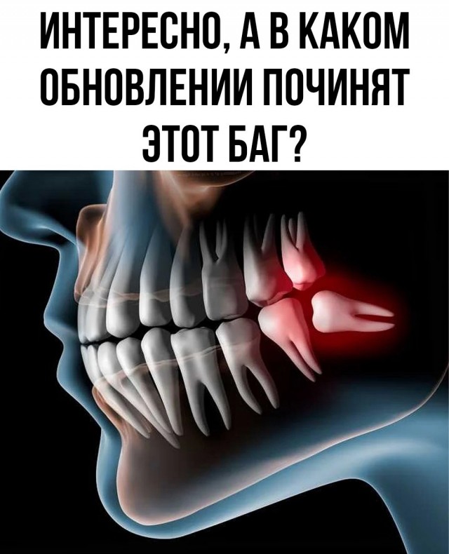 Вторник . Немного картинок
