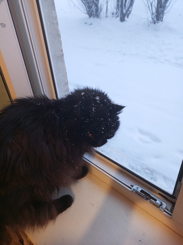 Ну начнемс ...!