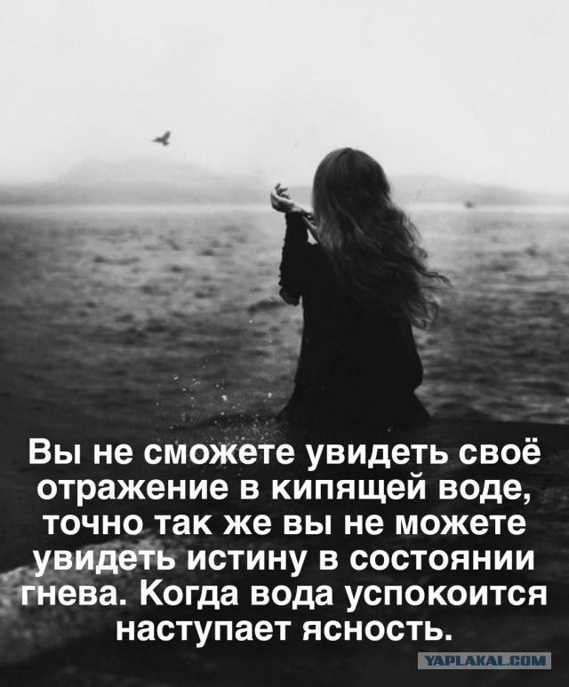 Картиночки, баянчики 11 декабря