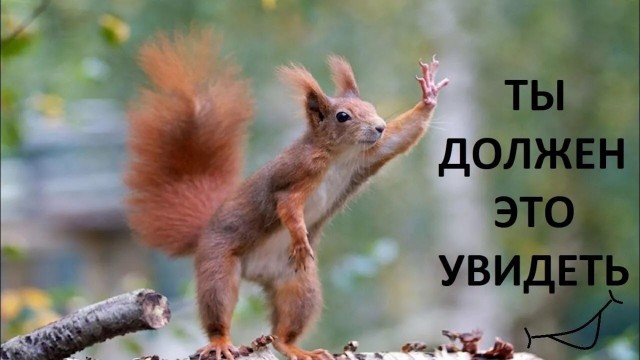 Это у всех так во снах?