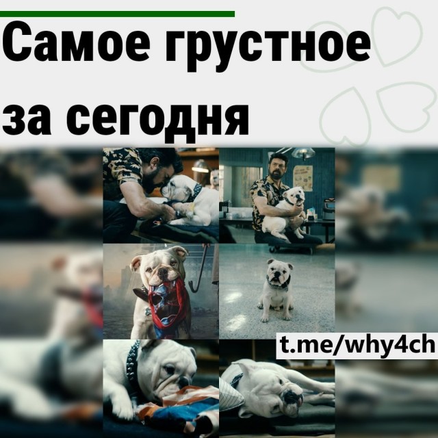 Самое грустное за сегодня
