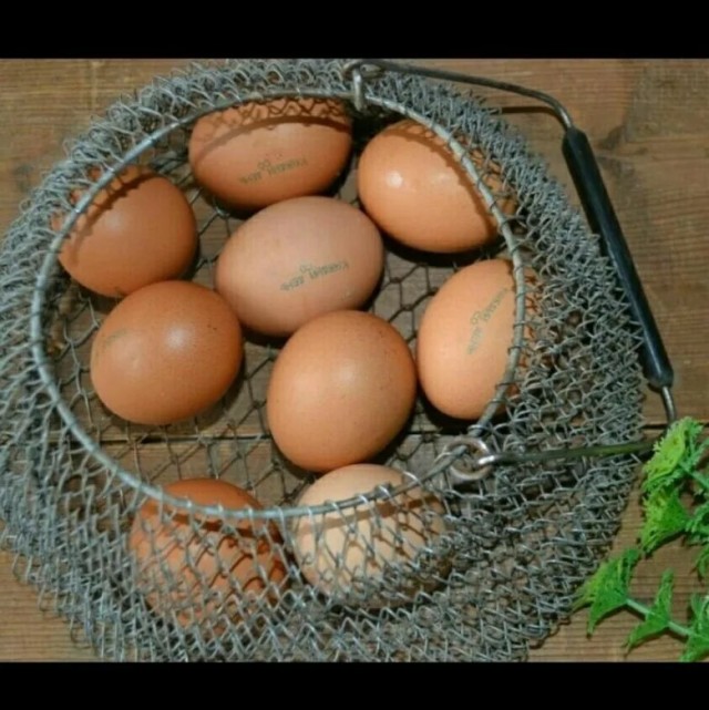 Кукан.