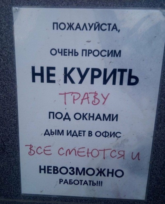 Прикольные и просто красивые картинки 16.10.2026