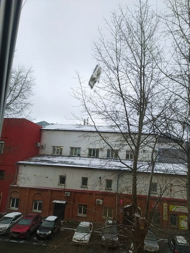 Художественный фильм "Украли!"