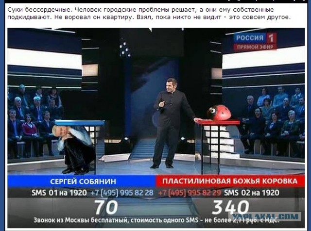 Выборы, выборы! Кандидаты ...