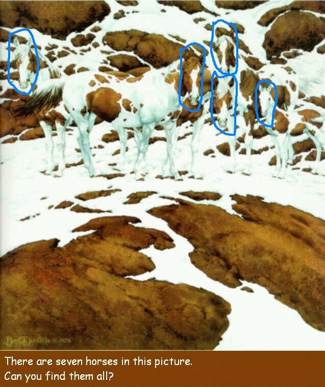 10 иллюзий, которые взорвут ваш мозг