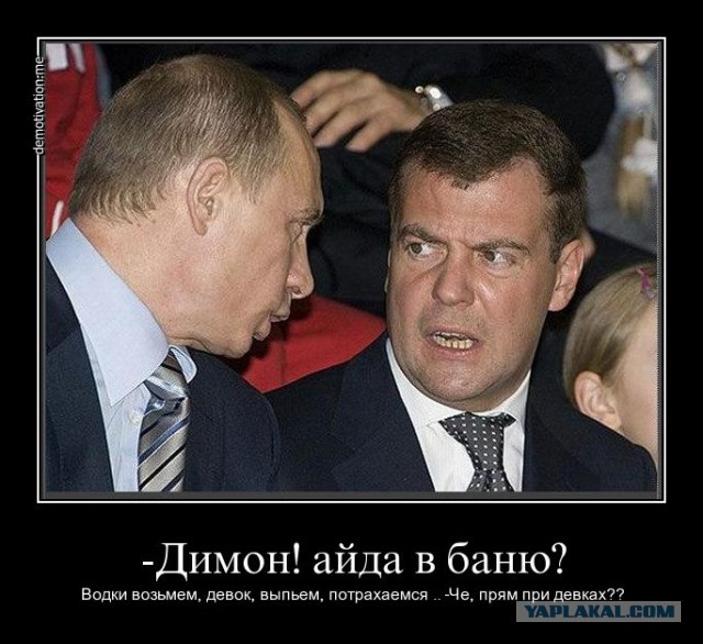 Медведев и очки
