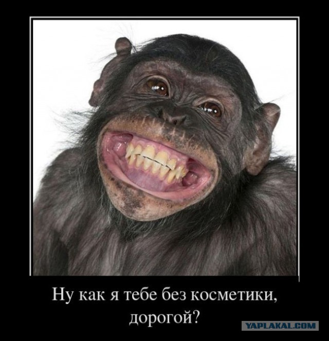 Демотиваторы.