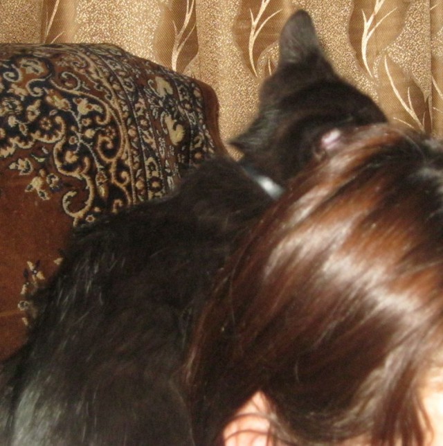 Котовторник 09.09.2014