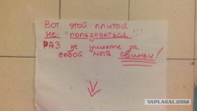 Последнее фото с Вашего телефона.