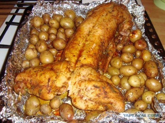 Учитесь готовить кролика!