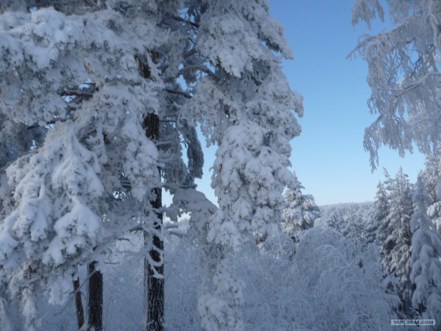 Для скучающих по снегу