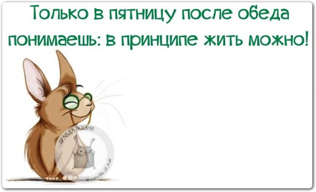 Весёлые картинки