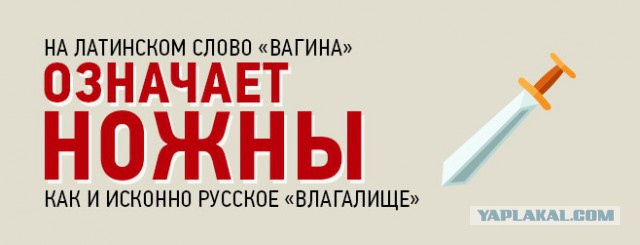 10 удивительных фактов о...