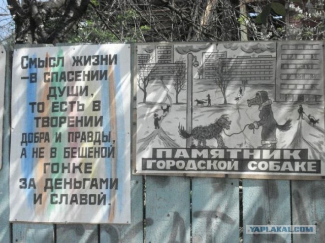 Не покупайте авто - они все того...