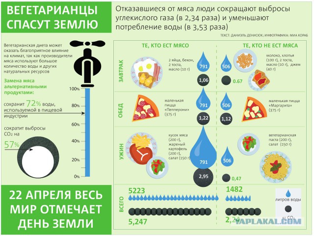 Вегетарианство