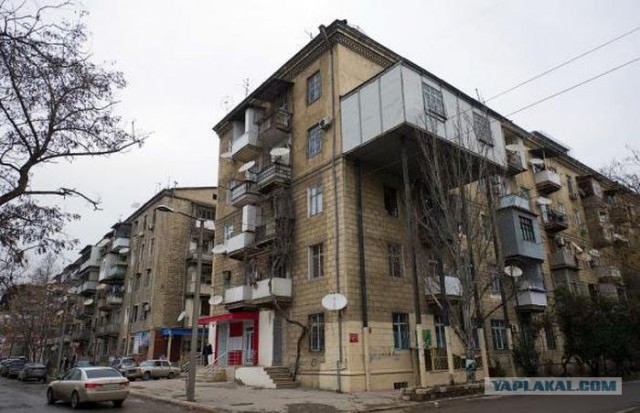 Работать, живо!