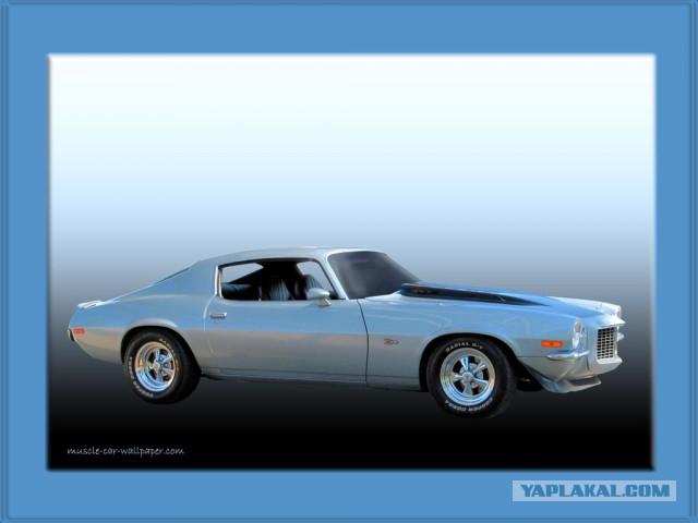 Muscle cars. История сумасшествия